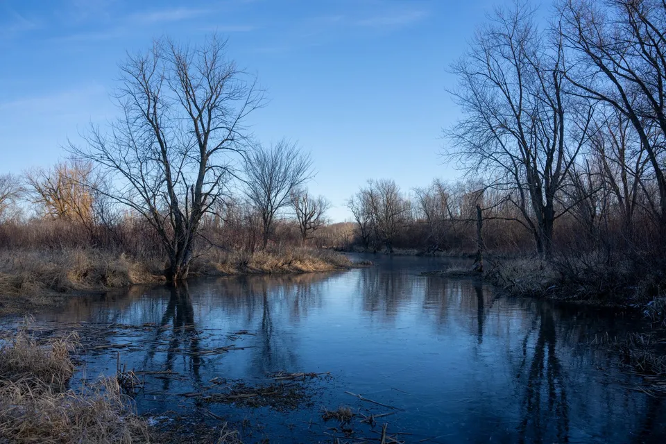 A serene winter river scene with bare trees and a clear sky in rural Minnesota.