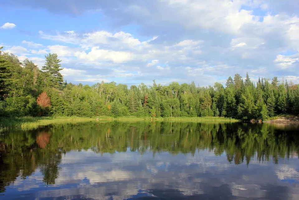 voyageurs national park, park, usa, nature, minnesota, shoreline, lake